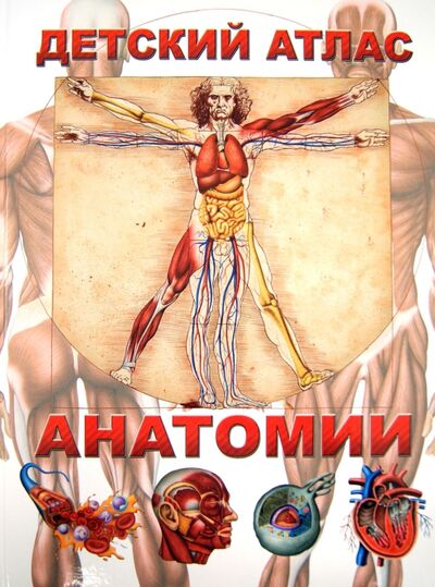 Книга: Детский атлас анатомии (Гуиди Винченцо) ; Владис, 2020 
