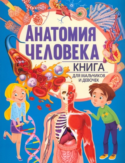 Книга: Анатомия человека. Книга для мальчиков и девочек (без автора) ; Владис, 2023 