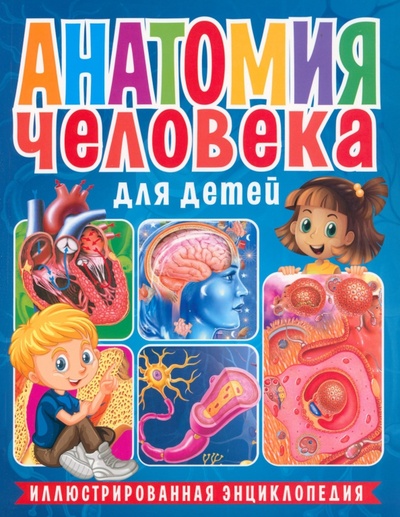 Книга: Анатомия человека для детей. Иллюстрированная энциклопедия (без автора) ; Владис, 2023 