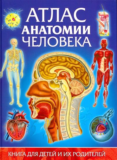 Книга: Атлас анатомии человека. Книга для детей и их родителей (Гуиди Винченцо) ; Владис, 2023 