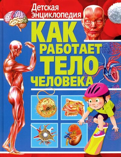 Книга: Как работает тело человека. Детская энциклопедия (Феданова Ю. (ред.)) ; Владис, 2019 