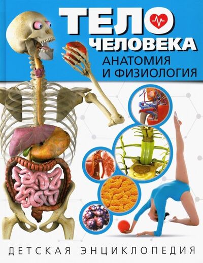 Книга: Тело человека. Анатомия и физиология. Детская энциклопедия (Феданова Ю. (ред.)) ; Владис, 2019 