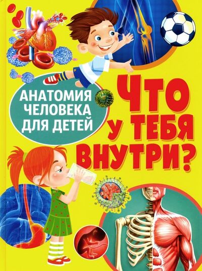 Книга: Что у тебя внутри? Анатомия человека для детей (Феданова Ю. (ред.)) ; Владис, 2019 