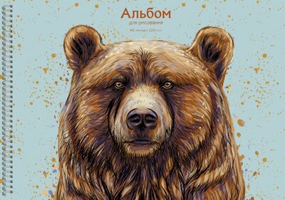 Альбом для рисования Медведь, 40 листов Listoff 