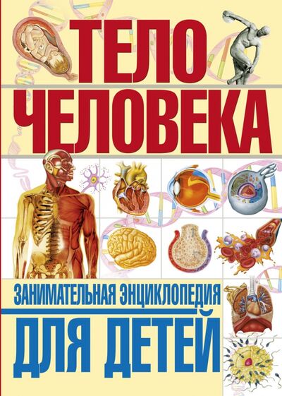 Книга: Тело человека. Занимательная энциклопедия для детей (Гуиди Винченцо) ; Владис, 2020 