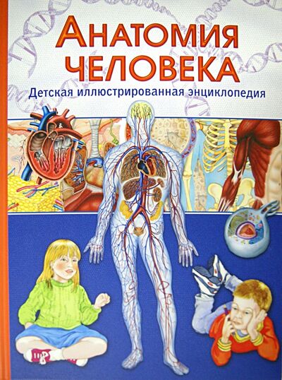 Книга: Анатомия человека. Детская иллюстрированная энциклопедия (Гуиди Винченцо) ; Владис, 2020 