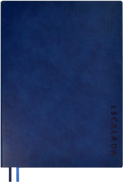 Ежедневник недатированный Флоттер, синий, А4, 160 листов Феникс+ 
