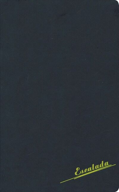 Ежедневник недатированный "Софт-тач" (А5, 96 листов, черный с неоново-желтым) (47471) Феникс+ 