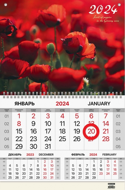 Календарь квартальный на 2024 год Маки Brauberg 
