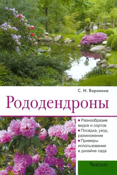 Книга: Рододендроны (Воронина Светлана Ивановна) ; Фитон XXI, 2021 