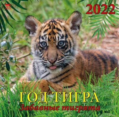 Календарь на 2022 год "Год тигра. Забавные тигрята" (70223) День за днём 