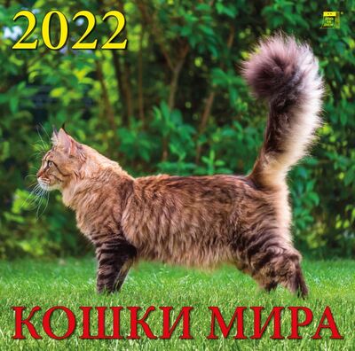 Календарь на 2022 год "Кошки мира" (70204) День за днём 