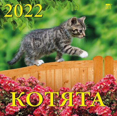 Календарь на 2022 год "Котята" (70205) День за днём 