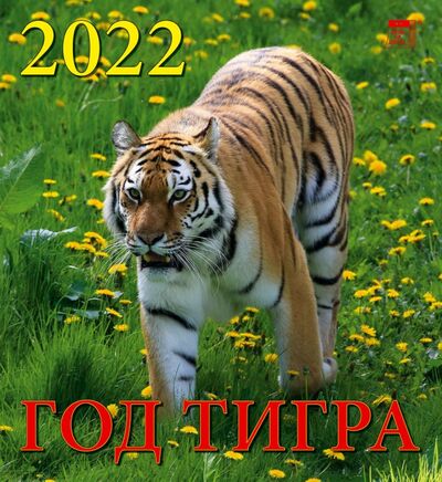 Календарь на 2022 год "Год тигра" (45206) День за днём 