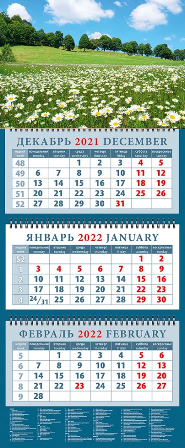 Календарь квартальный на 2022 год "Летний пейзаж с ромашками" (14238) День за днём 