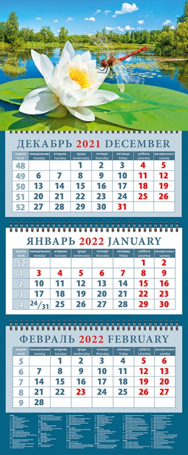Календарь квартальный на 2022 год "Стрекоза на водяной лилии" (14247) День за днём 