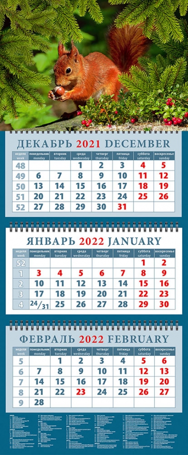 Календарь квартальный на 2022 год "Белка с орехом" (14263) День за днём 