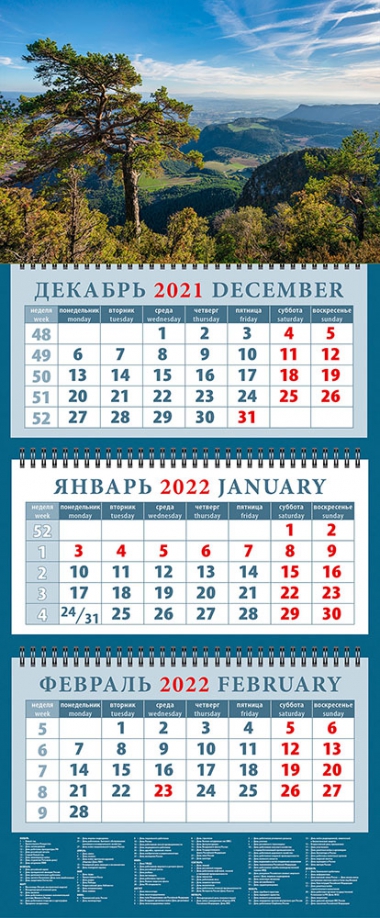Календарь квартальный на 2022 год "Великолепный пейзаж с сосной" (14251) День за днём 