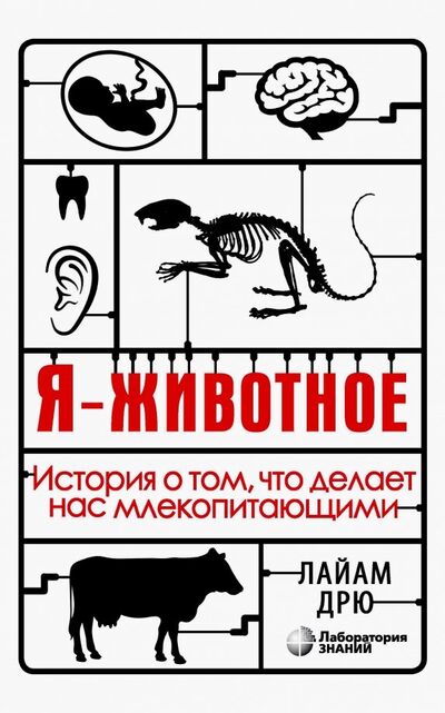 Книга: Я - животное. История о том, что делает нас млекопитающими (Дрю Лайам) ; Лаборатория знаний, 2020 