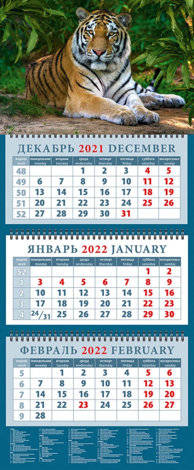 Календарь квартальный на 2022 год "Год тигра. Умиротворенный хозяин джунглей" (14206) День за днём 
