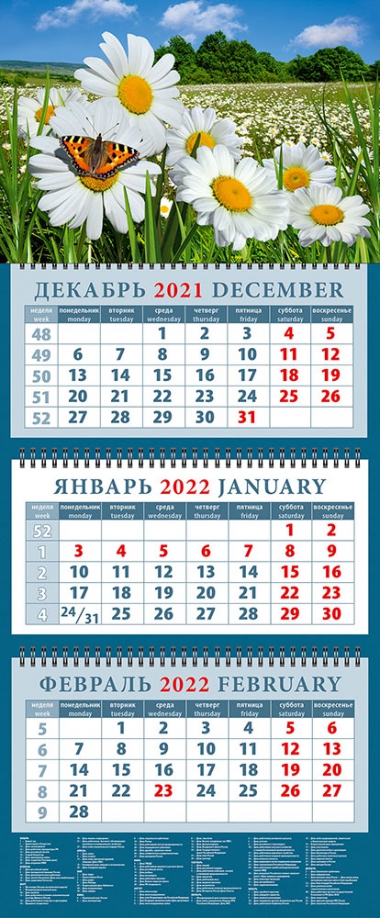 Календарь квартальный на 2022 год "Пейзаж с ромашками и бабочкой" (14231) День за днём 