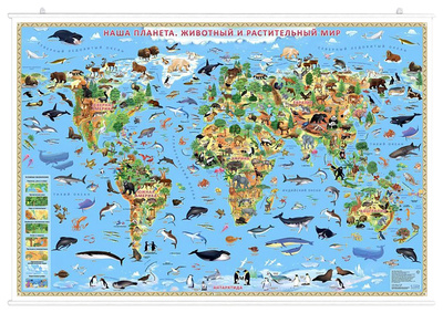 Книга: Карта настенная Геодом Наша планета. Животный и растительный мир на рейках (не указан) ; ГеоДом, 2020 