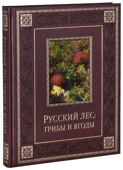 Книга: Книга Бутромеев. Русский лес: Грибы и Ягоды (Бутромеев В.) ; Олма Медиа Групп, 2014 
