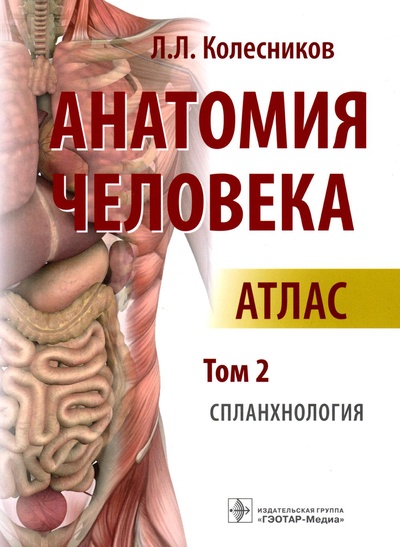 Книга: Книга Анатомия человека: атлас: В 3 т. Т. 2. Спланхнология (Колесников Лев Львович) , 2023 