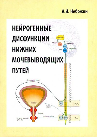 Книга: Нейрогенные дисфункции нижних мочевыводящих путей (Небожин Александр Иванович) ; Икар, 2019 