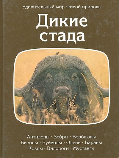 Книга: Дикие стада (нет) ; Терра, 1997 