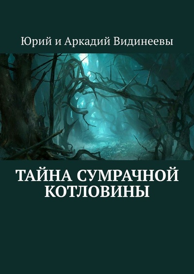 Книга: Тайна Сумрачной Котловины (Юрий и Аркадий Видинеевы) ; Ridero, 2022 