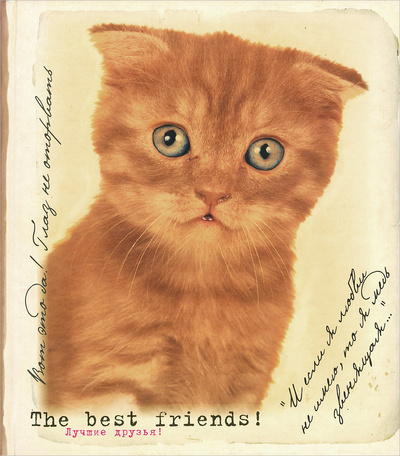 Книга: The Best Friends! / Лучшие друзья!; АСТ, Астрель, 2006 