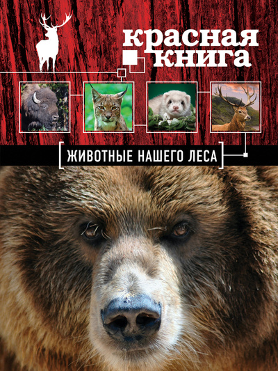 Книга: Красная книга. Животные нашего леса (Очеретний Александр Дмитриевич) ; Эксмо, 2013 