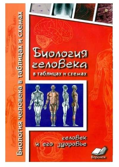 Книга: Биология человека в таблицах и схемах. Человек и его здоровье (Автор-составитель Н. Ф. Бодрова) ; М-Книга, 2022 