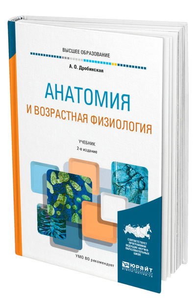 Книга: Анатомия и возрастная физиология (Дробинская Анна Олеговна) ; ЮРАЙТ, 2022 