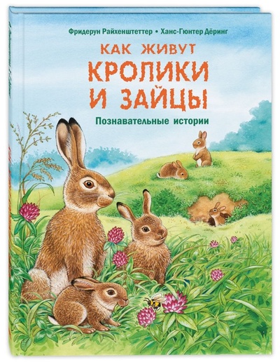 Книга: Как живут кролики и зайцы. Познавательные истории (Фридерун Райхенштеттер) ; Энас-книга, 2020 