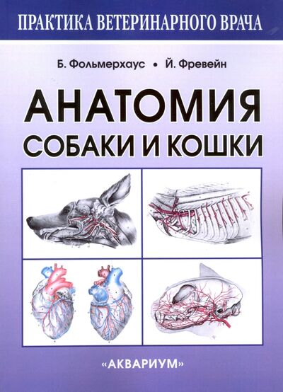 Книга: Анатомия собаки и кошки (Амзельгрубер Вернер, Беме Герхард, Вайбль Гельмут) ; Аквариум-Принт, 2014 