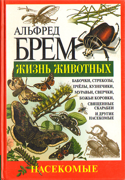 Книга: Жизнь животных. Насекомые (Альфред Брем) ; Эксмо, 2005 
