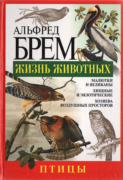 Книга: Жизнь животных. Птицы. Л - Я (Альфред Брем) ; Эксмо, 2005 