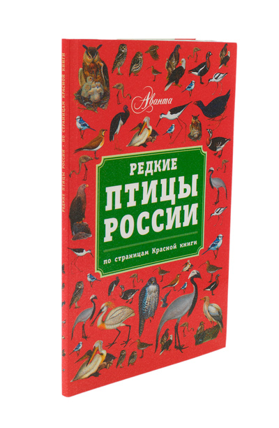 Книга: Редкие птицы России. По страницам Красной книги (Владимир Бабенко) ; Мир энциклопедий Аванта +, 2013 