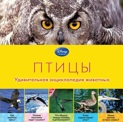 Книга: Птицы (Волцит Петр Михайлович) ; Эксмо, 2013 