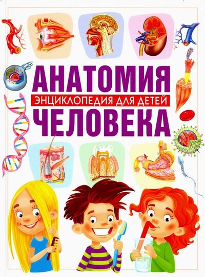 Книга: Анатомия человека. Энциклопедия для детей (Гуиди Винченцо) ; Владис, 2019 