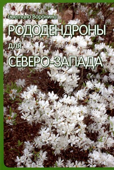 Книга: Рододендроны для Северо-Запада (Воронина Светлана Ивановна) ; Фитон XXI, 2019 