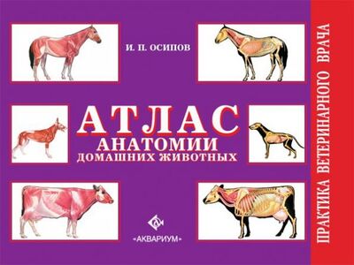 Книга: Атлас анатомии домашних животных (Осипов Иван Прокопьевич) ; Аквариум-Принт, 2020 