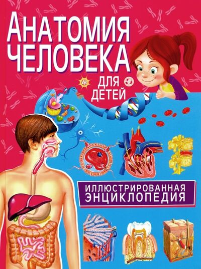 Книга: Анатомия человека для детей. Иллюстрированная энциклопедия; Владис, 2019 