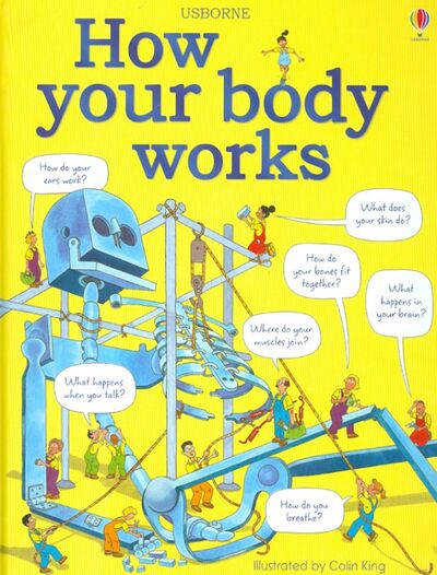 Книга: How Your Body Works (Hindley Judy) ; Usborne, 2013 