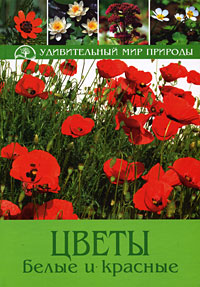 Книга: Цветы белые и красные (Бруно Кремер) ; Мир книги, 2008 