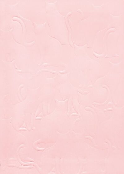 Записная книжка "Розовые кошки" (96 листов, А6+, интегральный переплет) (50266) Феникс+ 