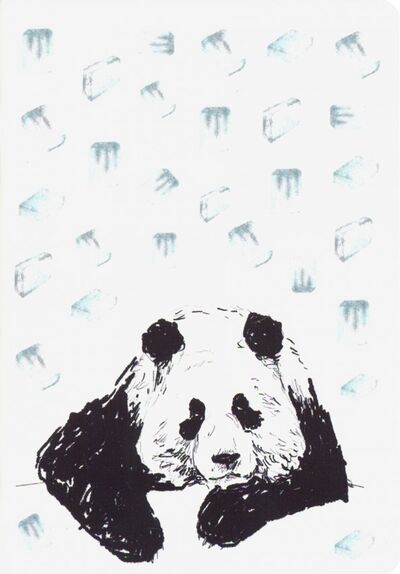 Блокнот "Панда и лёд" (18 листов, А6, нелинованный) Шанс 