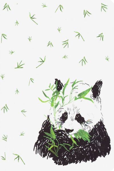 Блокнот "Панда и бамбук" (18 листов, А6, нелинованный) Шанс 